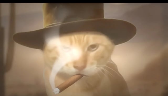 JL_DAO pfp