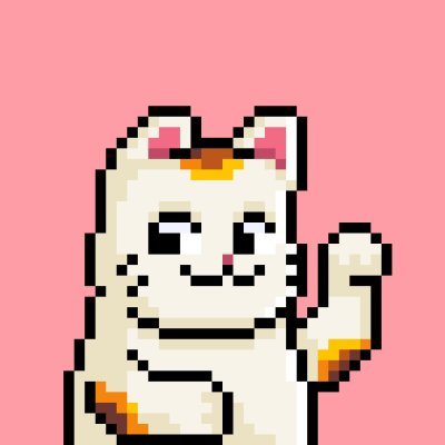 Molly币圈大V推荐Bird🕊️ pfp